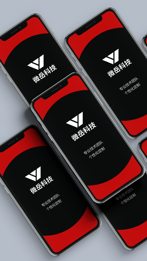 山东微岳网络科技