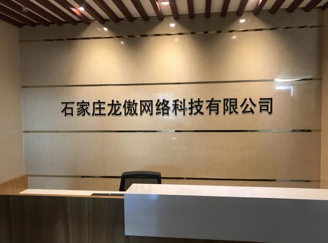 石家庄龙傲网络科技